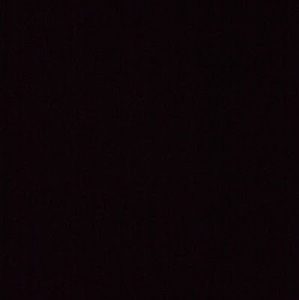 Meet your Posher, Shaneice